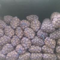 Продам картофель отличного качества