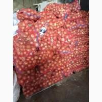 Продам и привезу картошку