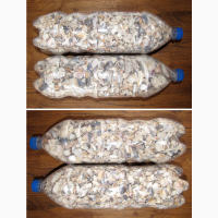 Черноморская ракушка на подкорм птицы. Больше яиц, мяса, экономия кормов