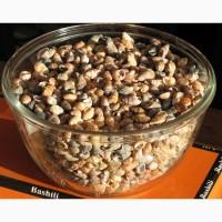 Черноморская ракушка на подкорм птицы. Больше яиц, мяса, экономия кормов