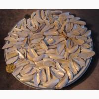 Черноморская ракушка на подкорм птицы. Больше яиц, мяса, экономия кормов