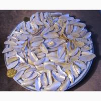 Черноморская ракушка на подкорм птицы. Больше яиц, мяса, экономия кормов