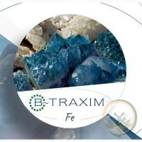 Біодоступне залізо – B-Traxim (ADM)