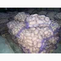 Продаємо картоплю сорту гранада