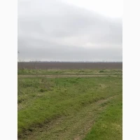 Продам земельний пай. Фасадний. 4.63 га. Овідіополь