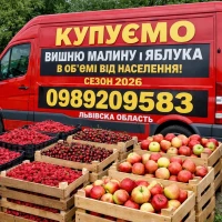 Куплю полуницю