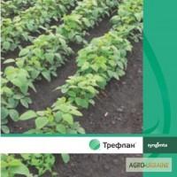 Трефлвн 480 к.е