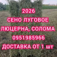 Люцерна в тюках, луговое сено, солома. Доставка по Украине