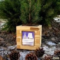 Живая канадская ель на Новый год в Mini ORGANIC BOX, тренд года купить в Киеве