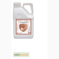 Нертус Старт, ж