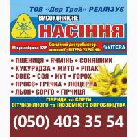 Просо элита