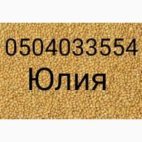 Просо элита