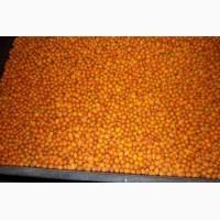 Замороженная облепиха