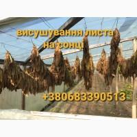 Берлі середньої міцності 500 грн