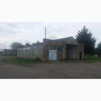 Продам действующий завод