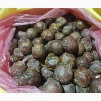 Продам чистий свіжий прополіс 2024 року