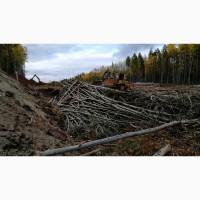 Розліснення великих земельних ділянок