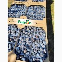 Продам сливу, Херсонська область