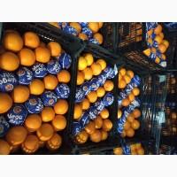 Продам апельсины Навелина оптом