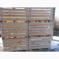 Продам деревянные яблочные, овощные контейнера