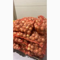 Продам цибулю, мережева якість