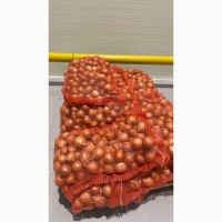 Продам цибулю