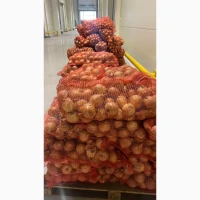 Продам цибулю