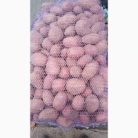 Продам картоплю різних сортів