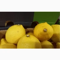 Лимон, Південна Африка