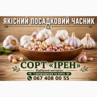 Насіннєвий часник Ірен - Однозубка, Зубок, Повітряна бульбочка