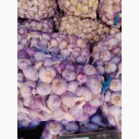 Продам свій часник, на посадку та товарний, є 1 репродукція, однозубка, повітряна