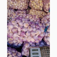 Продам свій часник, на посадку та товарний, є 1 репродукція, однозубка, повітряна