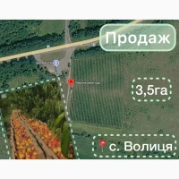 Продаж готового агробізнесу біля кордону з Польщею | Персиковий сад 3, 4 га
