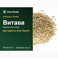 Насіння злакових трав Витава для посіву - доставка по Україні