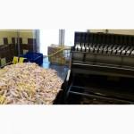Продажа Экспорт куриной лапы класс А