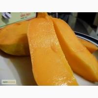 Продам Манго из Египта