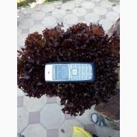 Продам САЛАТ лоло бионде, лоло росса