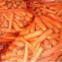Продам морковь абако