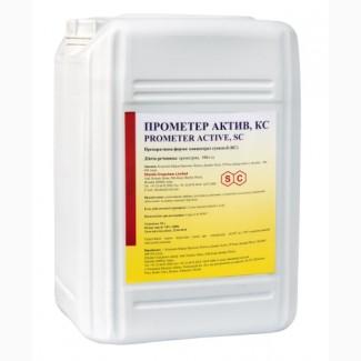 Прометер Актив, КС - Селективний гербіцид для захисту соняшнику та моркви від бур#039;янів