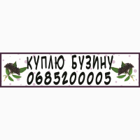 Куплю буКуплю бузину, приїду заберу