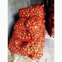 Продам Лук Калипсо, калибр 5-7