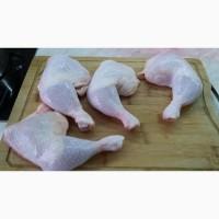 Предлагаем Куриную продукцию