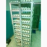 Продам Инкубатор ECO-1500A