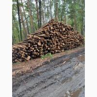 Дрова соснові, дубові, метровки та колоті