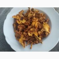 Продам Лисички сушені, врожай 2025 року