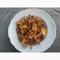 Продам Лисички сушені, врожай 2025 року