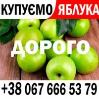 Купляємо яблука Ціна 11, 60 + окремо ПДВ - В ФОТО НОМЕР дзвонити