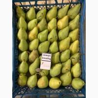 Продам Грушу Ноябрську (Листопадову)