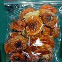 Продам мухомор червоний 1-2 сорт