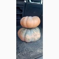 Продам гарбузи столові